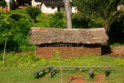 DSC_8474 (Large).JPG